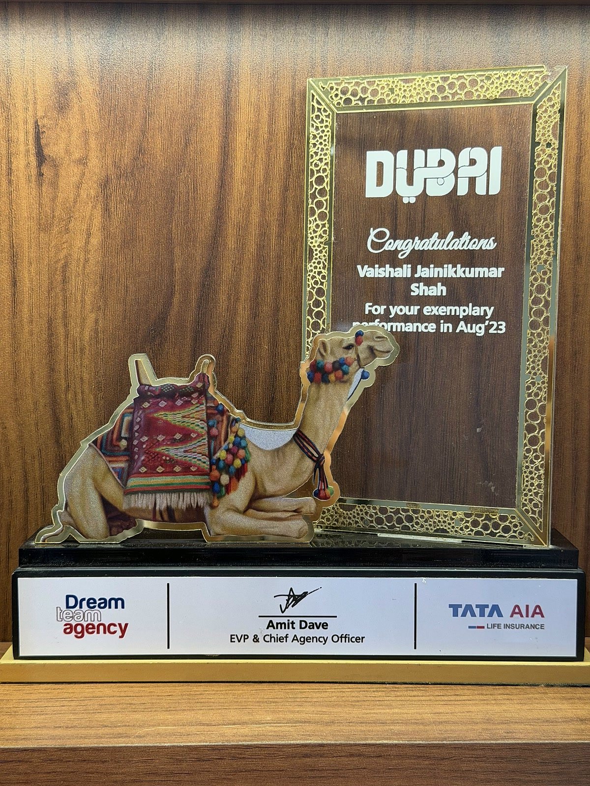 Training Conclave trophy, Dubai, August 2023